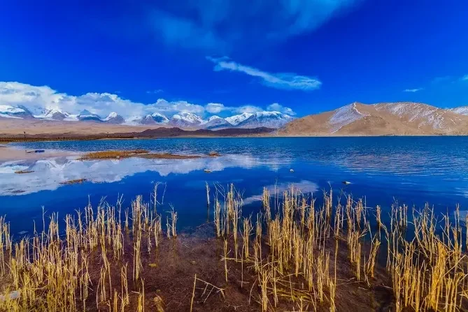 6c1935671ef68e8281bac63901de179d-sz_659065-1