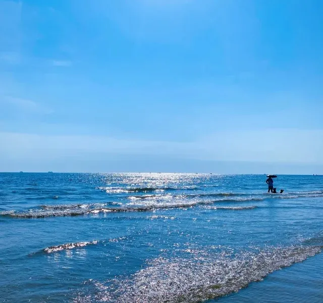 6cc5a461ff053c6b11283bd5f2b80f35-sz_124316