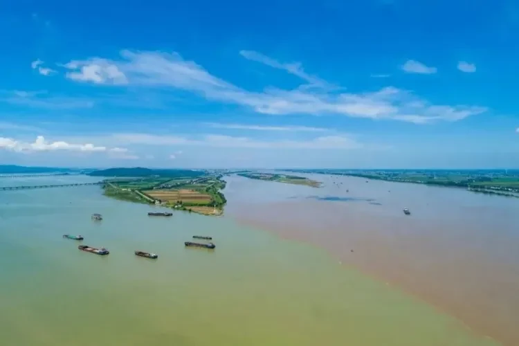 6cd23c389a75ced66164020d94ec57e9-sz_38745