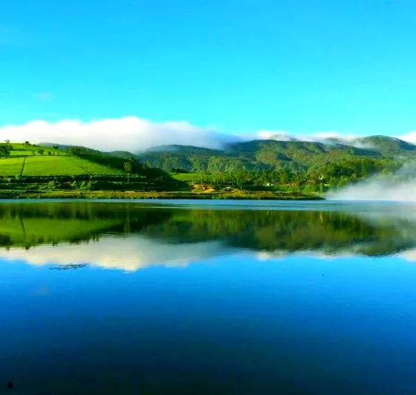 6ce2fd2e422374b1da30471fe90d03b0-sz_289404