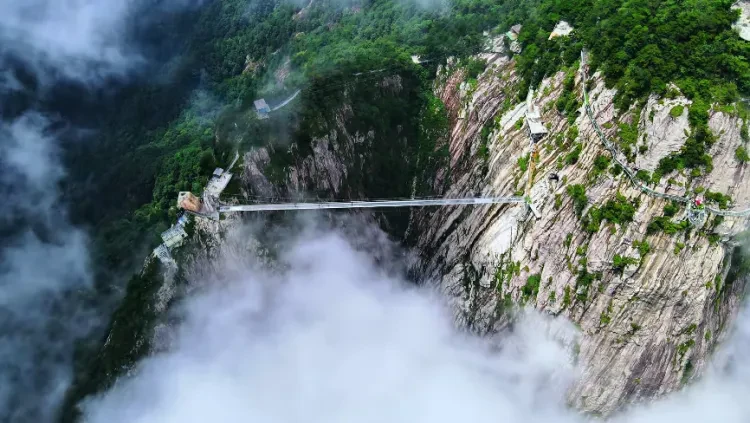 6d17f5d3482ca81e15e2423783f6bbd7-sz_1040292