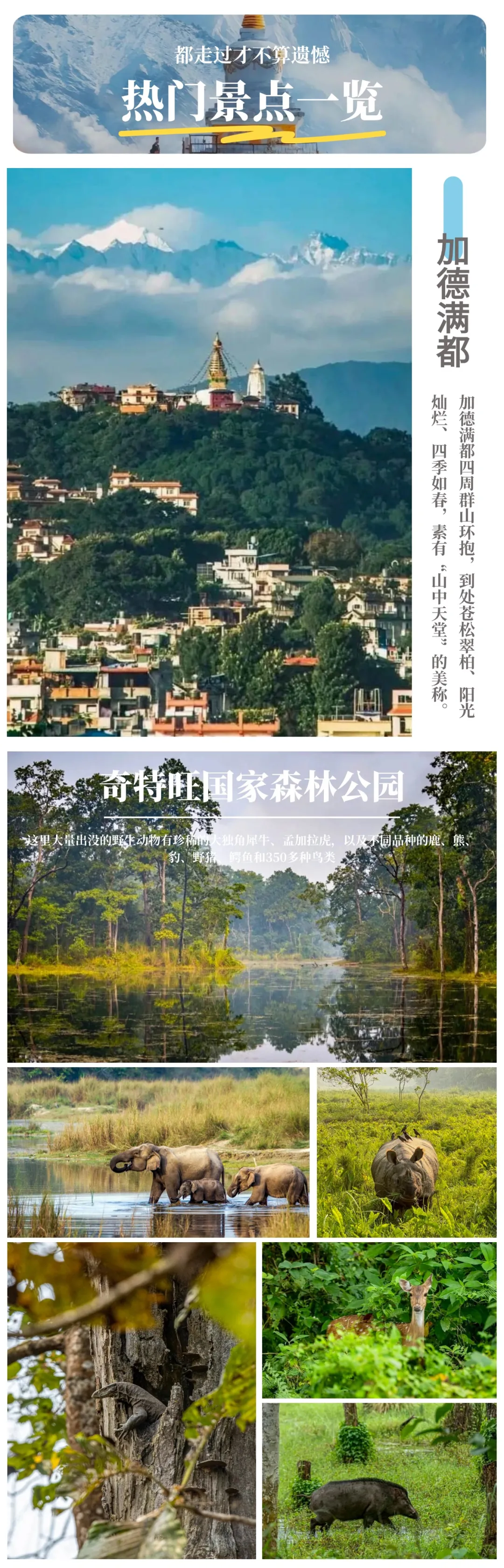 6d1d6c0be0a263d18775ec07c12bb256-sz_3150330