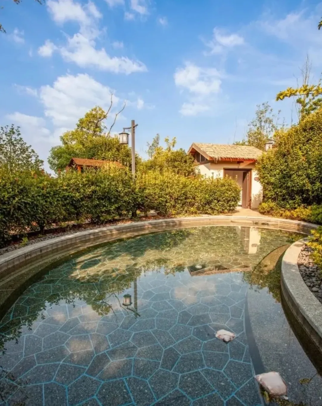 6d6645ef543d103251e308a3712b5495-sz_1167072