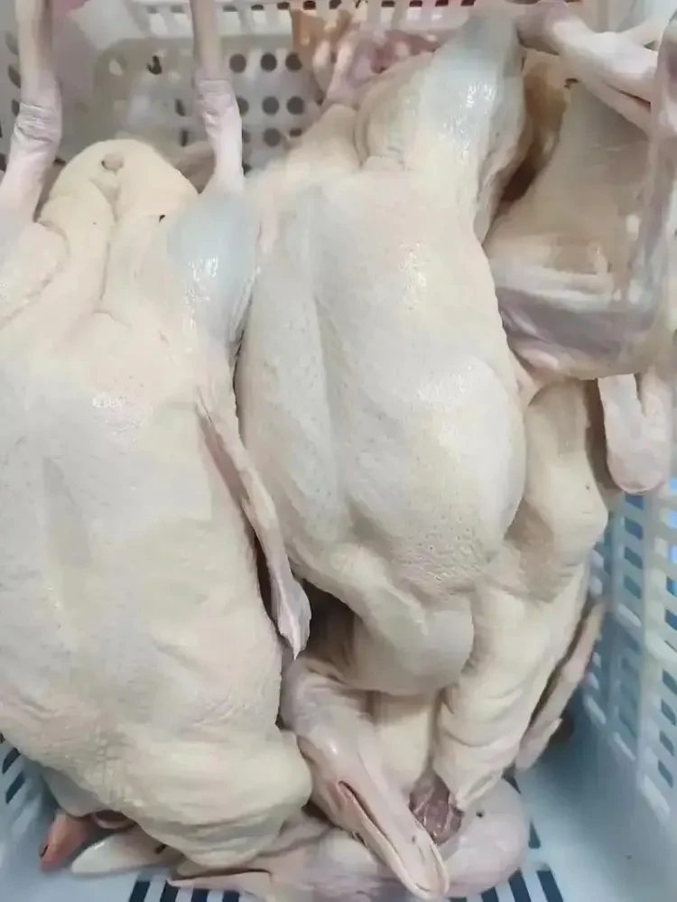 6d896445721ad84ddbbc83b3edf3d3f0-sz_133874