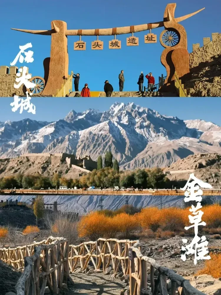 6d95b45303e5f238da33846d8e1f0893-sz_2111678