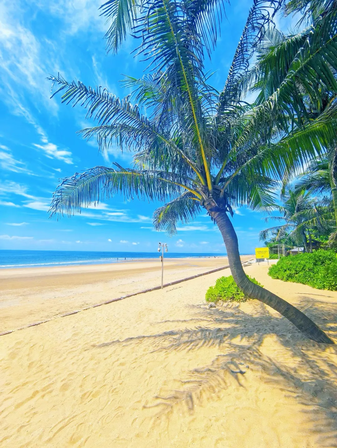 6de50c1393c4c21e0a5224dd68c9f729-sz_3985473