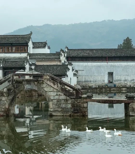 6e0a5015b6d404641b50a7c1cec573b3-sz_670890