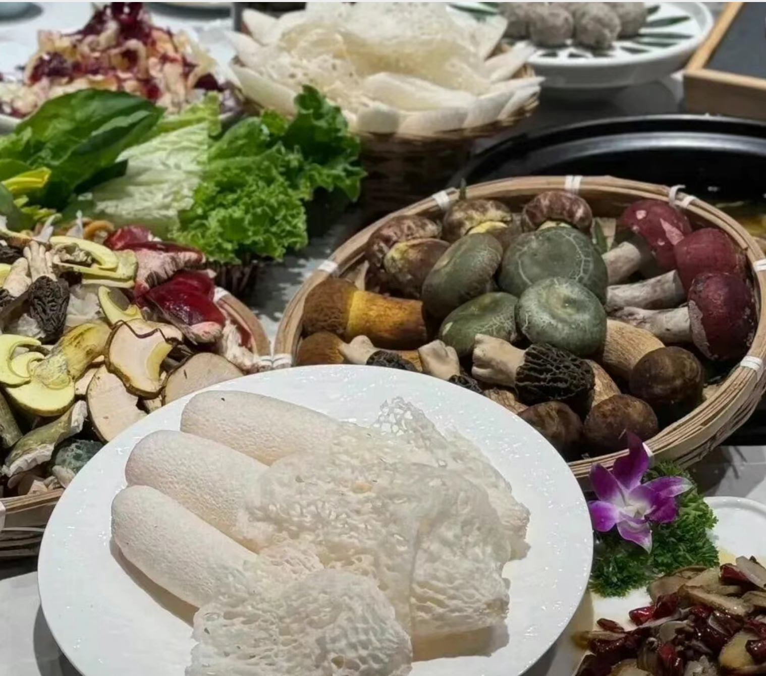 6e358c46a765fd91fa91e141d82f6162