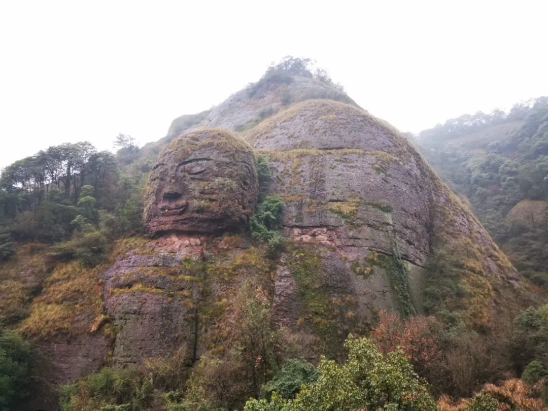 6e398b518ceac273c2ffdb816396950e-sz_231645 6e398b518ceac273c2ffdb816396950e-sz_231645