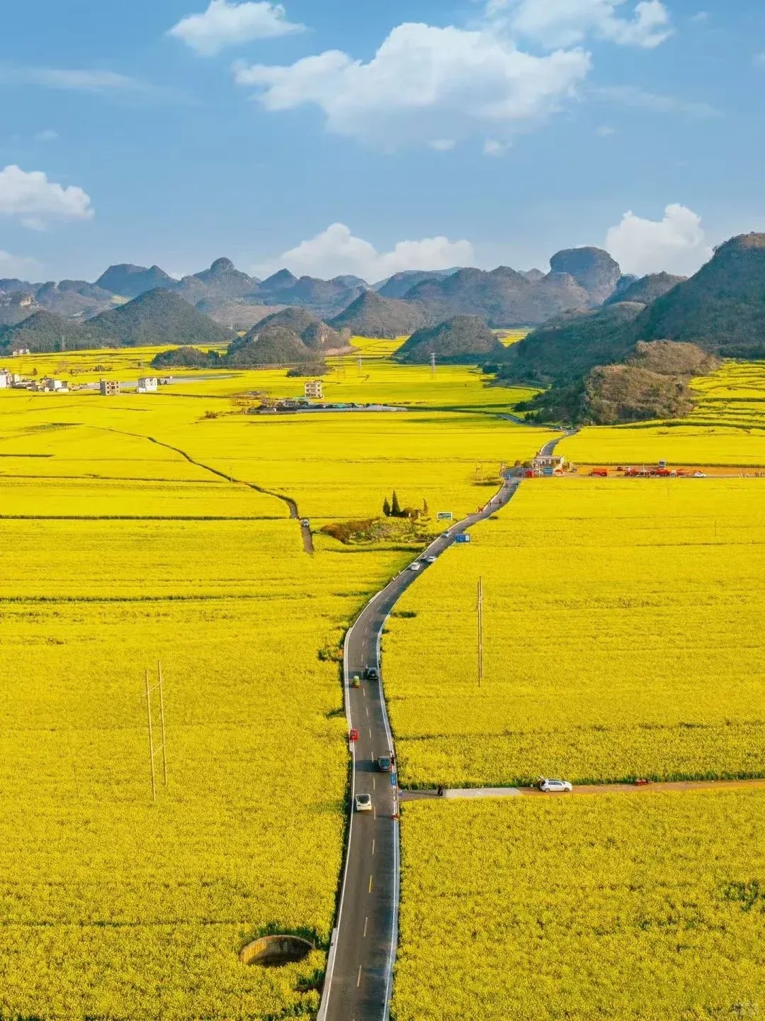 6e4420fdfbef024a5b23075eee6093e0-sz_2565098-1