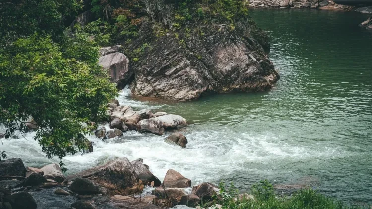 6e5b72cc217658fa14880572c55824f2-sz_350058