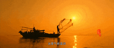 6e817d4e3bdf5b209ae102861d324c2b-sz_453230