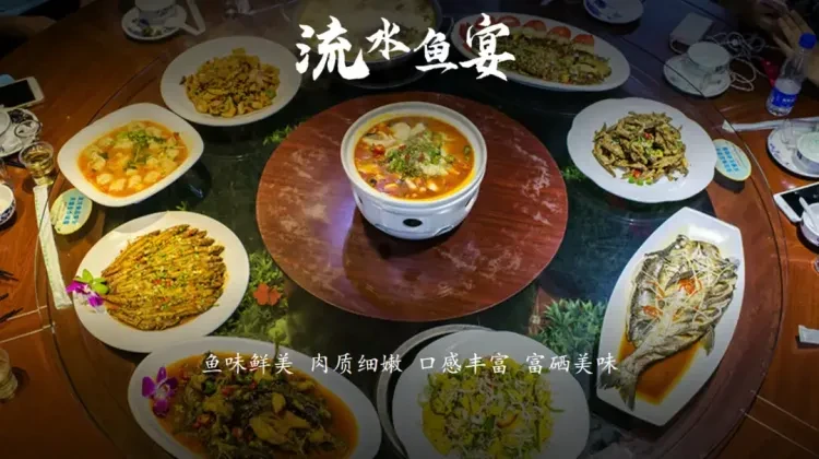 6ed2296f2e2a4c25bf33fa2478a4200a-sz_1483218