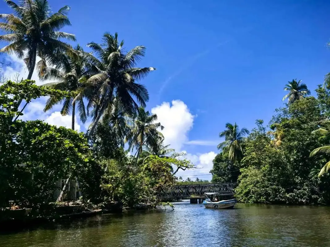 6ef8a90f87d52e9309a3e7a33c728b88-sz_184065