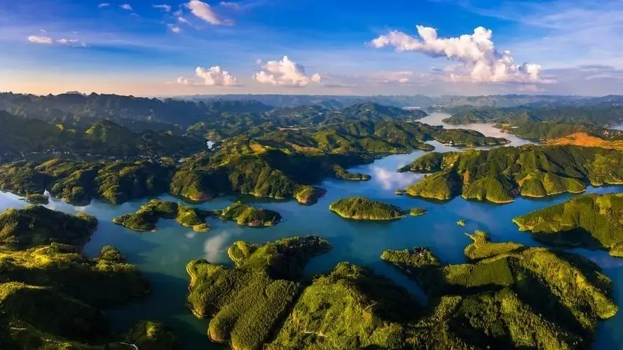 6f0931d4442dfff439549a0faaa8fea9-sz_331910