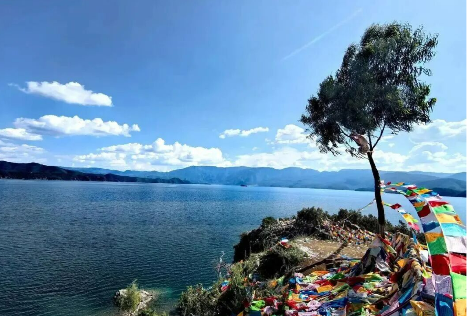 6f4d75fc6cd9316b49d431889d9136cd