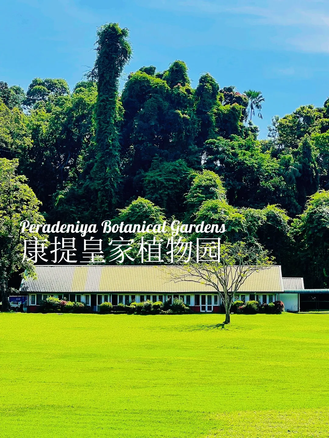 6f53adc23cfdae335918aceb9b38cf67-sz_3352347