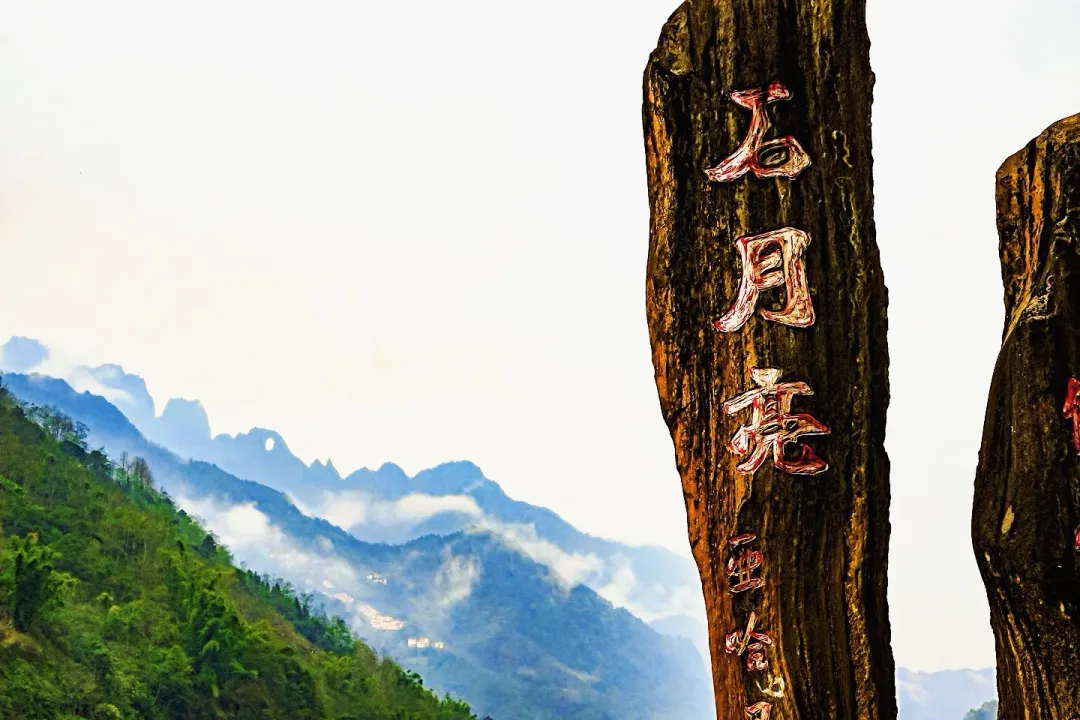 6f74c0be82233b9be98339f20bb0ea6b-sz_1163879