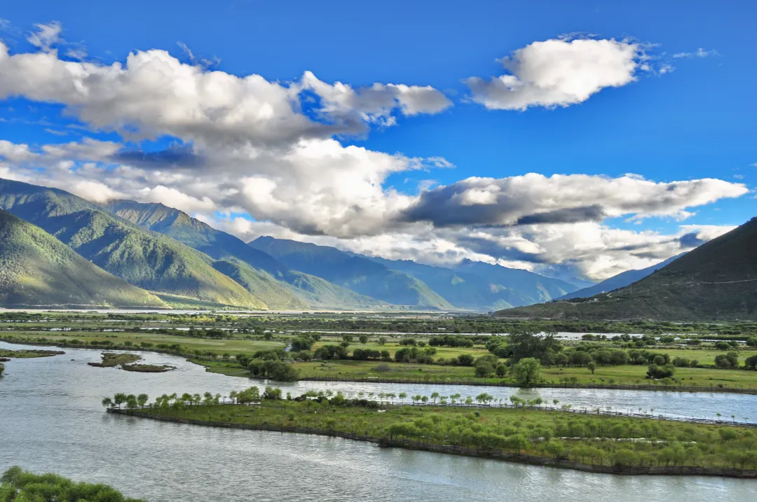 6f9debb39ea01bf27cee02ee128d9157-sz_3648187