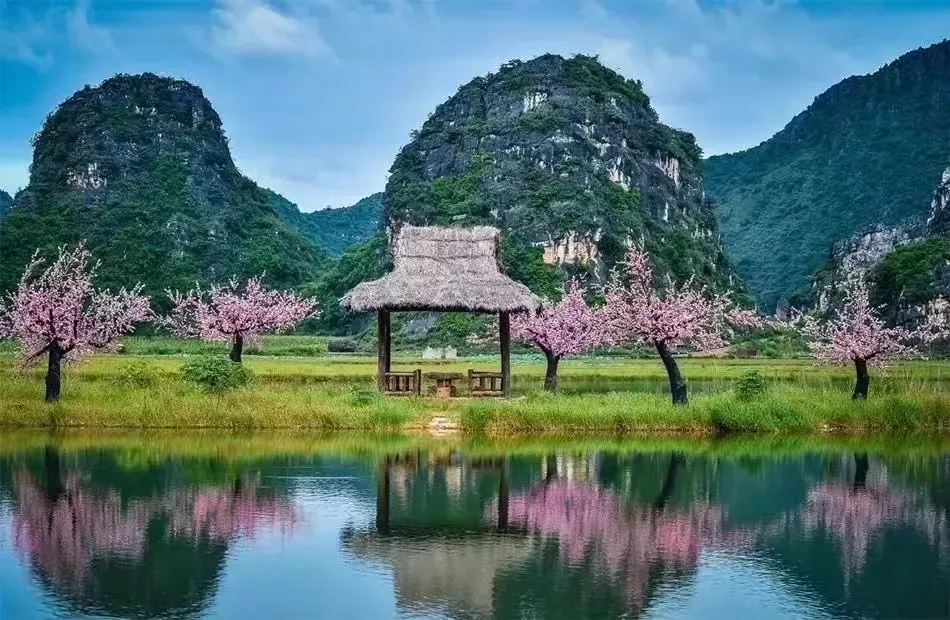 6fc8359f6deb46fd3c06f88175d5194d-sz_1361229