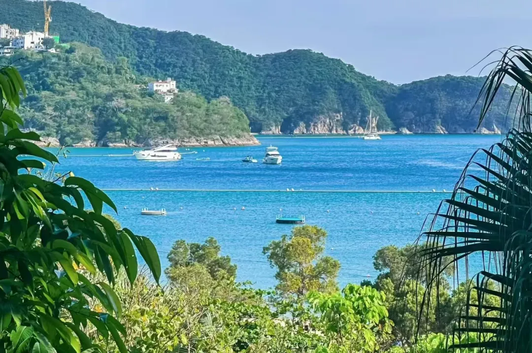 6fda704d320bc2732472141473f0de02-sz_1610034