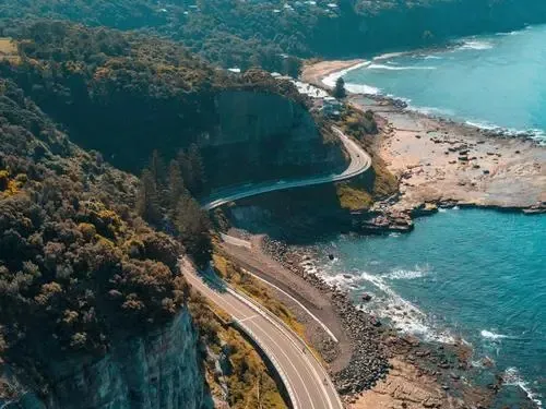 6ff88b6d289dd687a2a27c0ef56c71bb-sz_113560