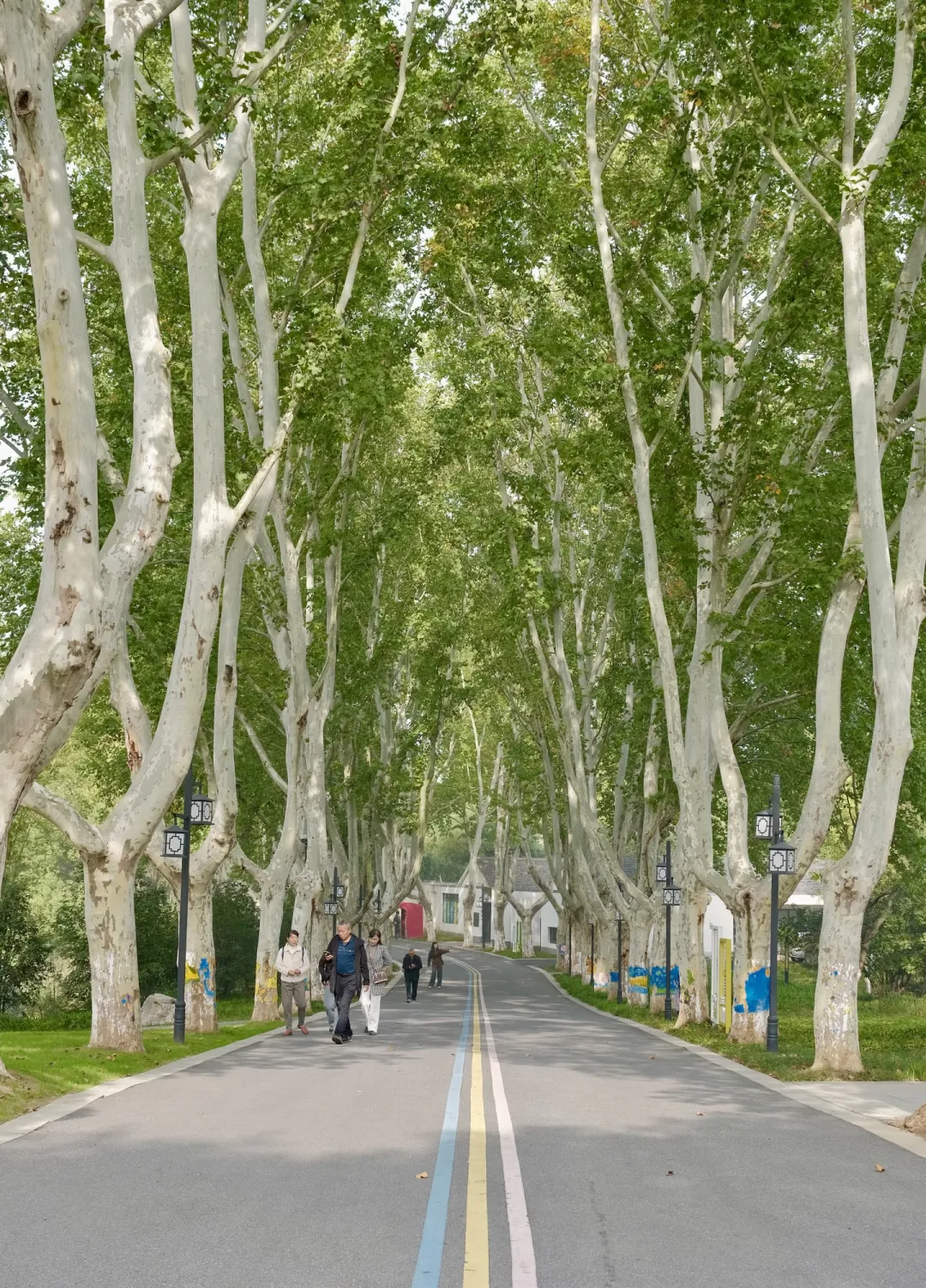 7015c5c6df969e0f91cc3970d4b587b9-sz_2636894