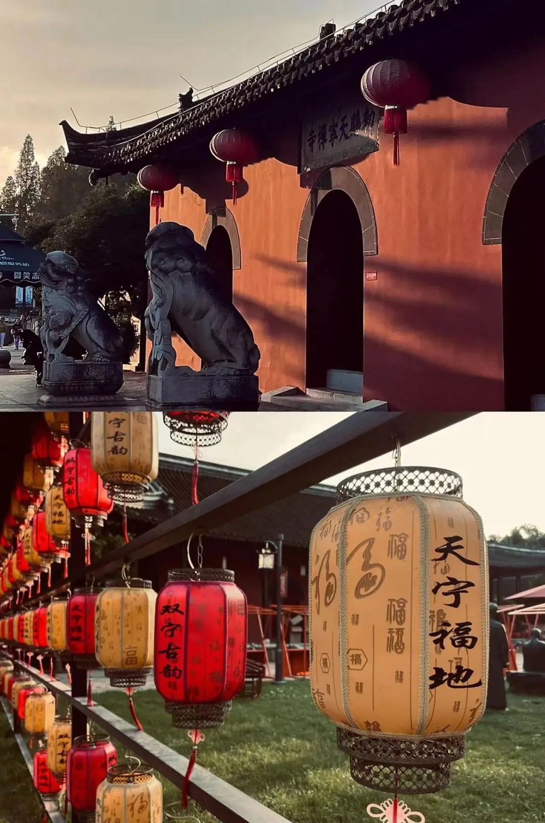 701cda6793da271e94518c95bd0a2bc5-sz_329213