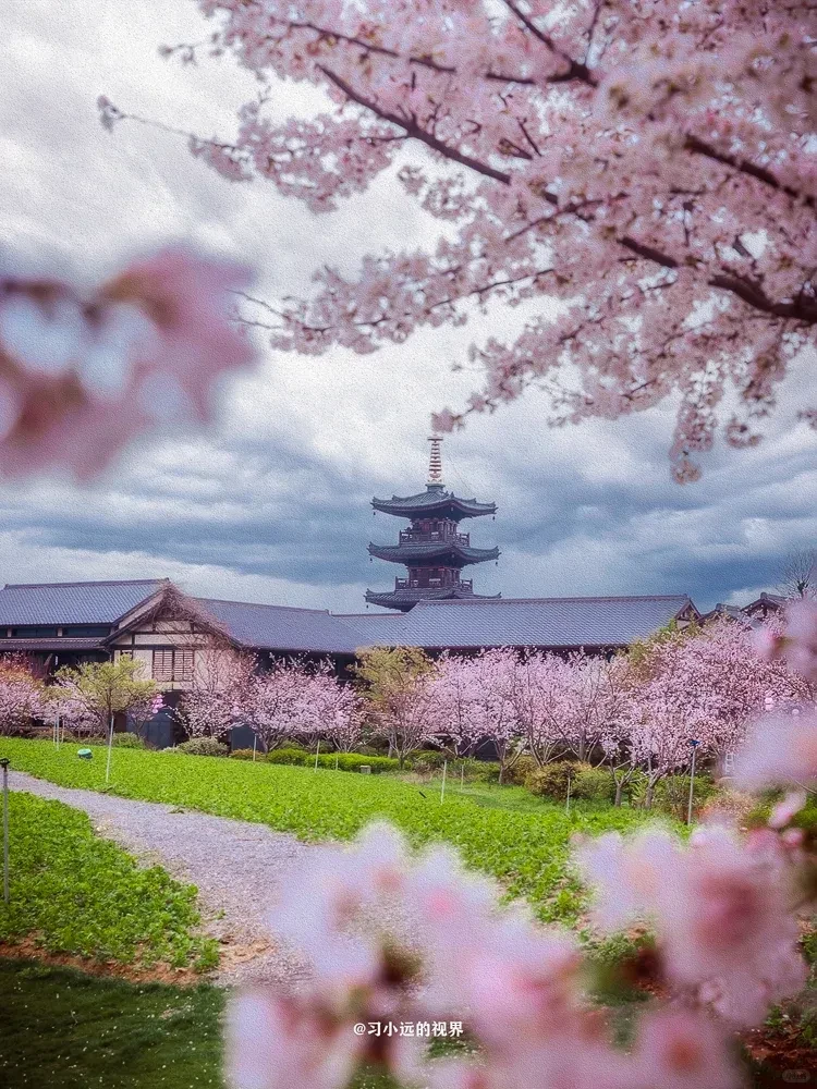 706e6a0ab2d9eb7034b6253520748716-sz_1902830