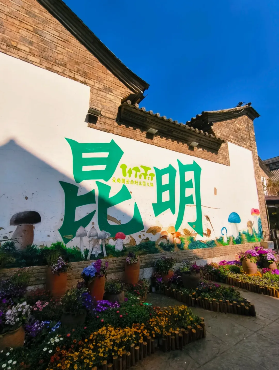 70816707f4cf169552f0b2ae96abf3cd-sz_431517