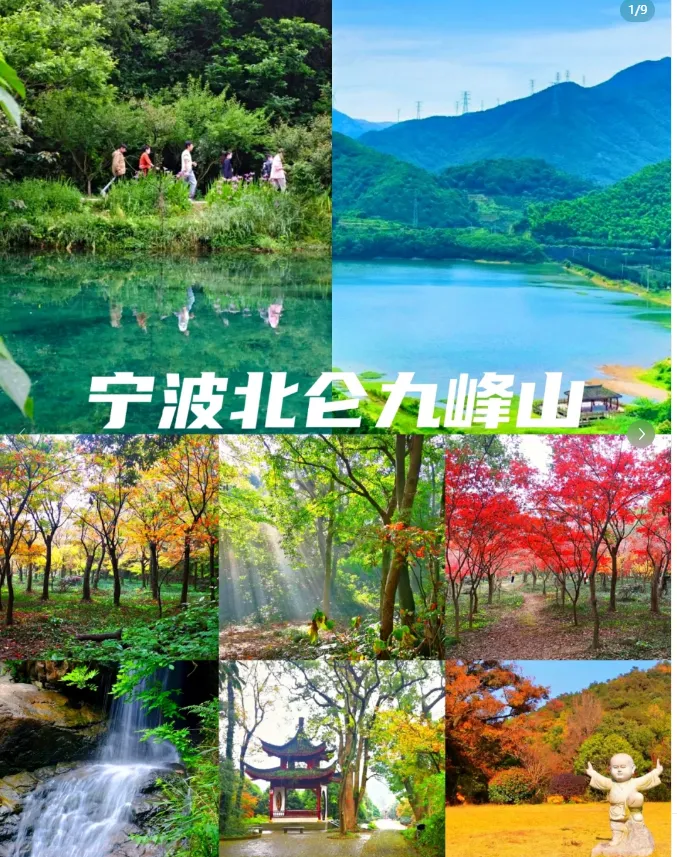 709d7439872b1dc40cba34627e183913-sz_1325085