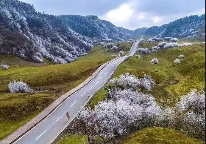 70aa08c73c3c78adf2e1cead2a5442f1-sz_78351