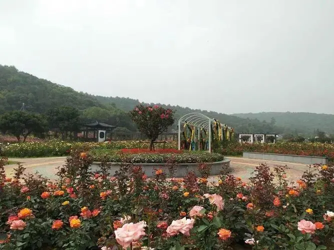 70ed5e8fd8a48ac496819e5168912d23-sz_66449