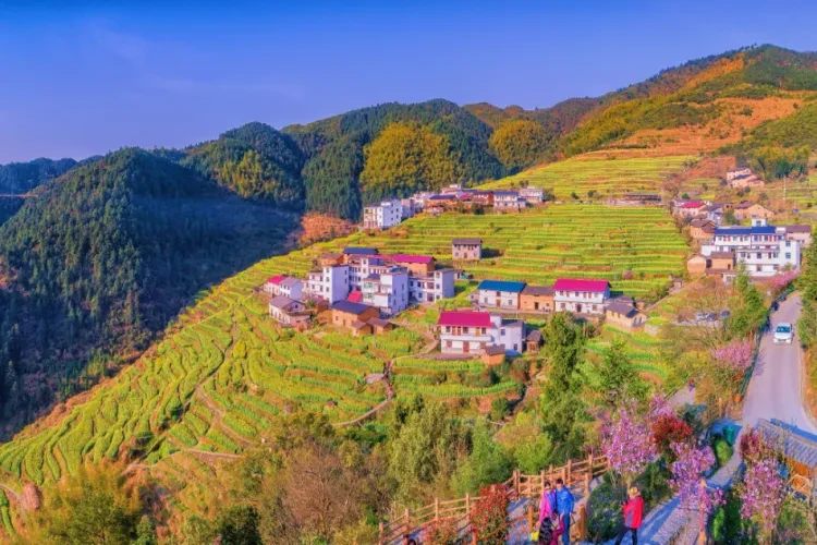 718b0f2deafab1adcc6b1ba3062f8303-sz_1369670