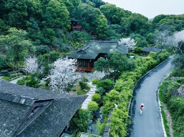 71a2685b6c4036652f282d9d6df99608-sz_4254576