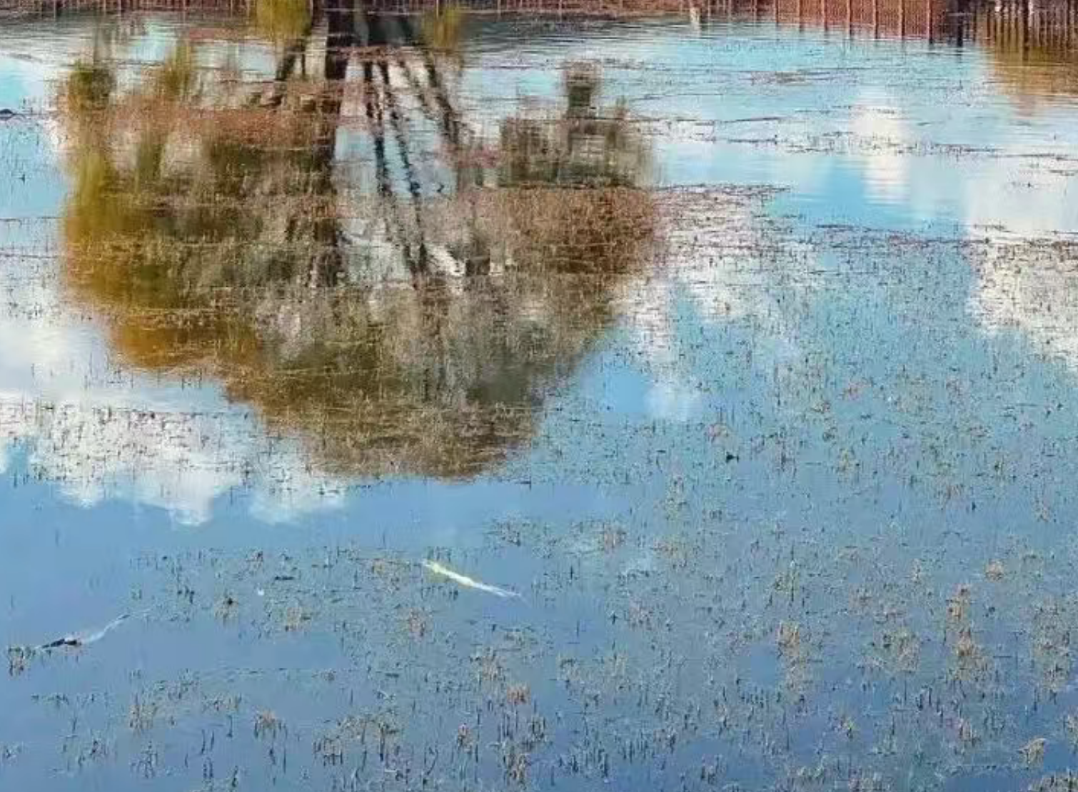 71b0735f98b07c1a2bd64fb0b1347f7f