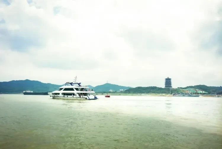 71c58e0f3a6ae38bcd39acc4a41d01c3-sz_59132