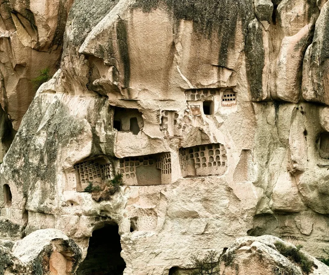 72495ab153fd62c991f1593254330713-sz_901187