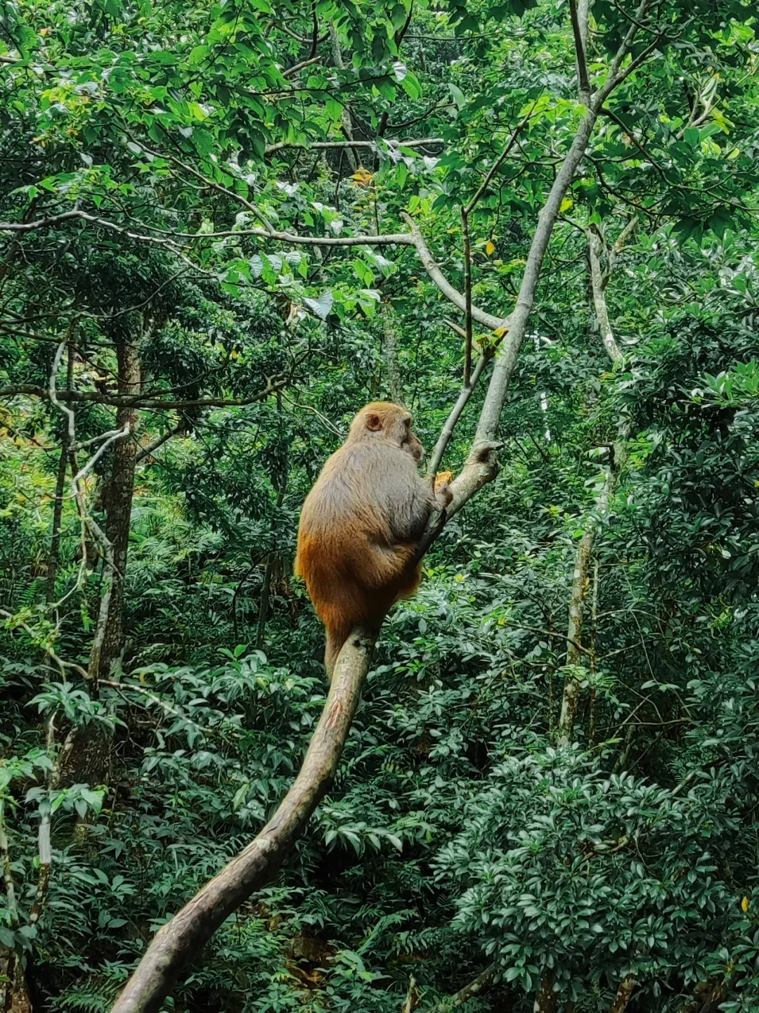 72b7db3e0a1b042c108bdb418922ad04-sz_3720600