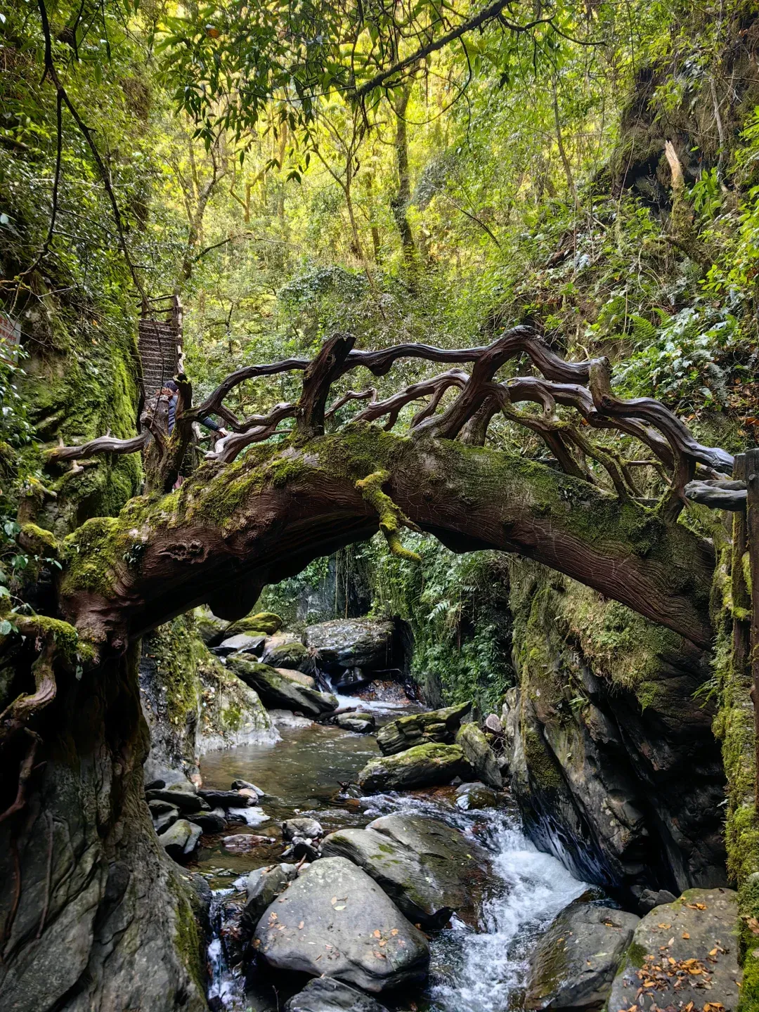 72b900084ceea4c6d739c5348a4eaf9c-sz_4176377