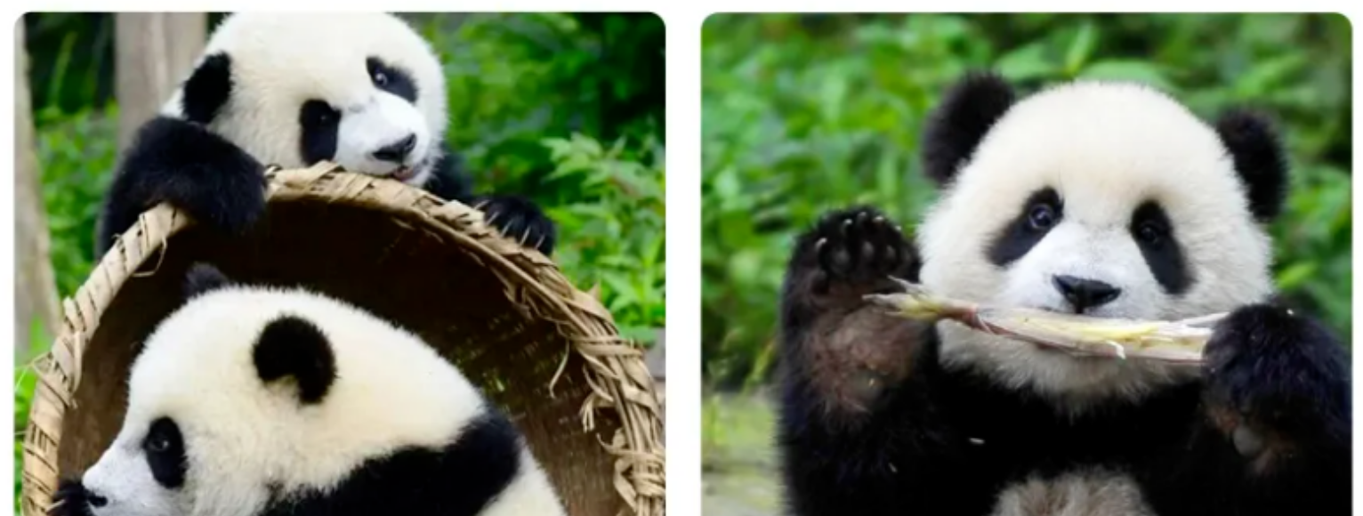 72c110f6a2f50c341498693ded8de6f2