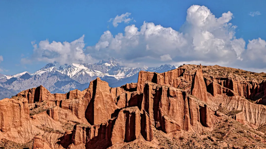 72d029cc679f8da5b8a89662bf7bdc12-sz_4524396