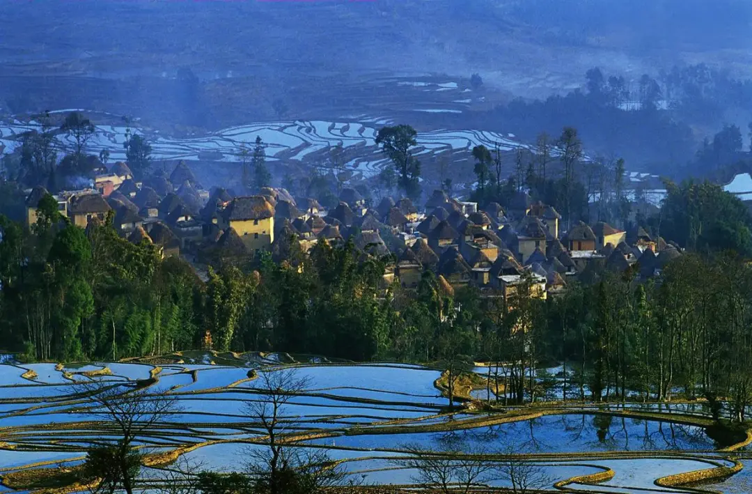 72d0b2c63f740e1309c89ade73ae00bb-sz_213746