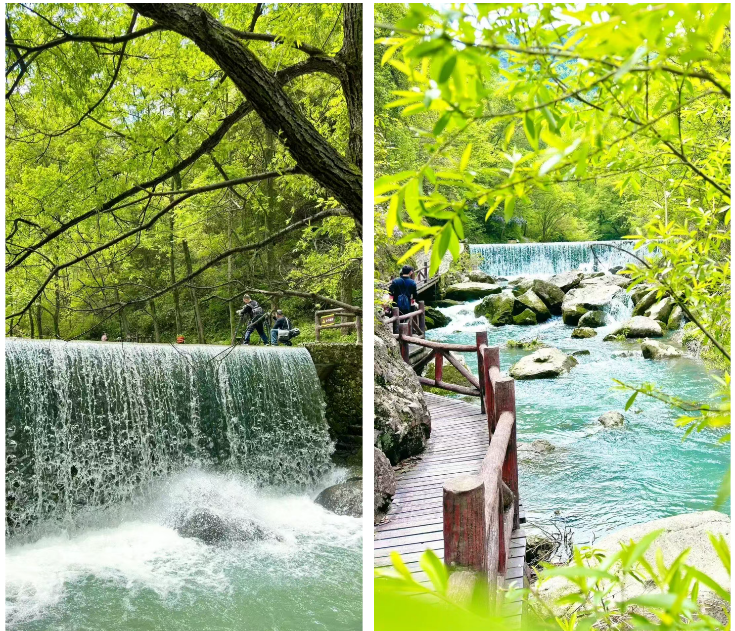 72e14e9f8b15b7947847982636897532