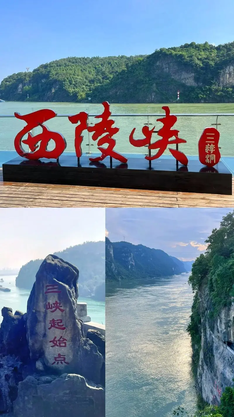 7332b5264008feabc3b14bcd173ada3b-sz_180496-1