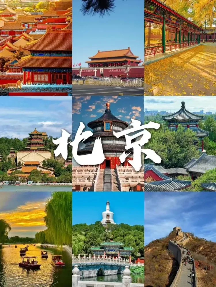 733daab7da3435bf3f047bb092a5476f-sz_345706 733daab7da3435bf3f047bb092a5476f-sz_345706