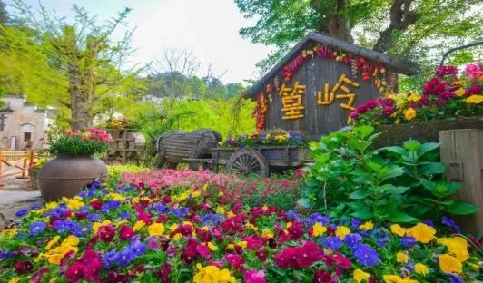 7391c49074475454acd29bc6585a90a3-sz_349636