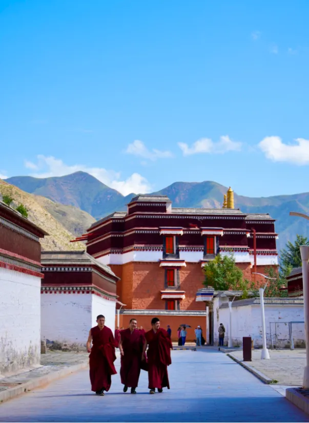 73c7831a757665ddd924a72698c5f5bd-sz_493404