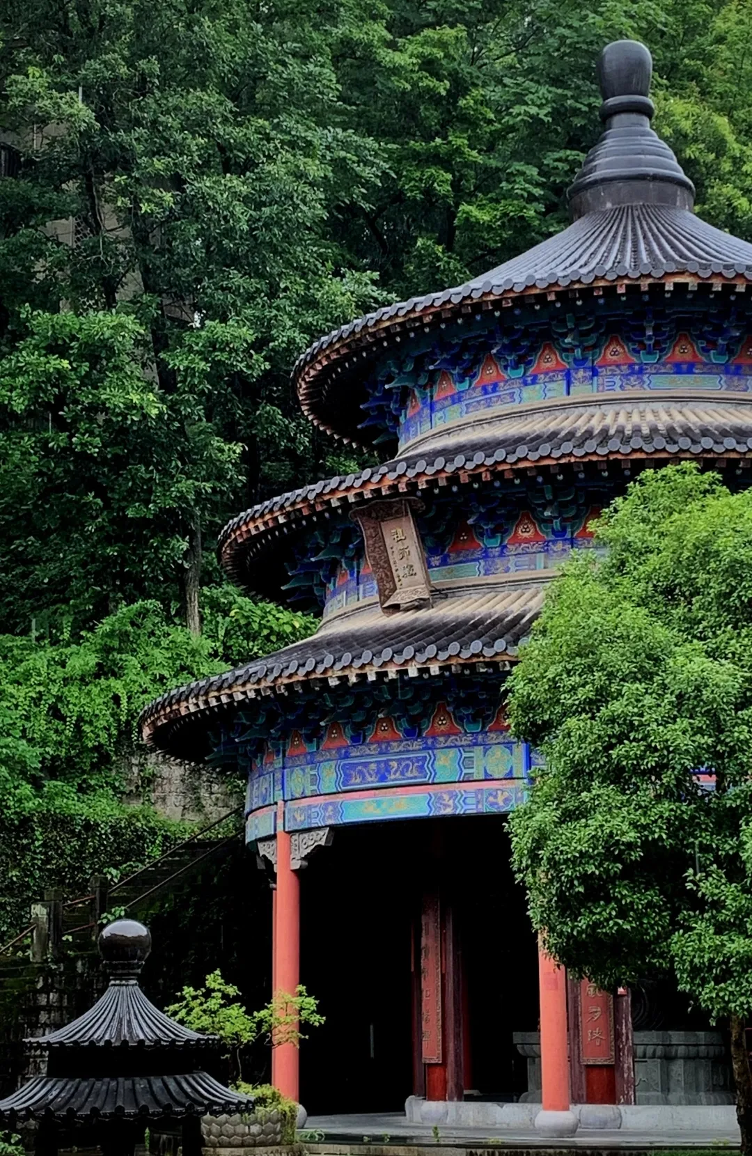 73e3377ed7c6730e1877a5c81ee4d707-sz_1486388