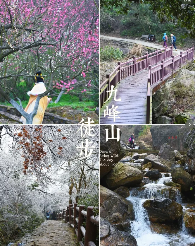 73fbb70e7d6962cc3f56511d0073f19c-sz_1341665